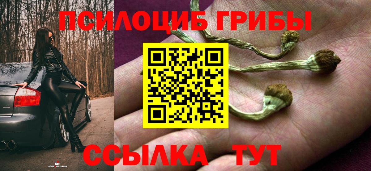 Галлюциногенные грибы GOLDEN TEACHER Ленинск-Кузнецкий